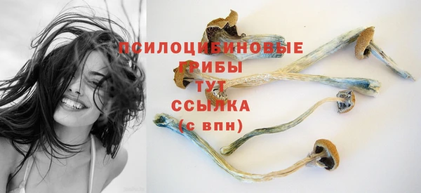 спиды Бугульма