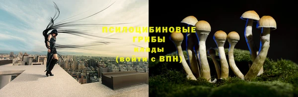 твердый Бронницы
